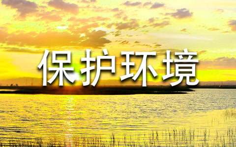 保护环境初中作文