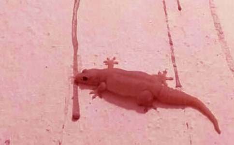 ��С�ڻ���β�͡�����̰�6ƪ