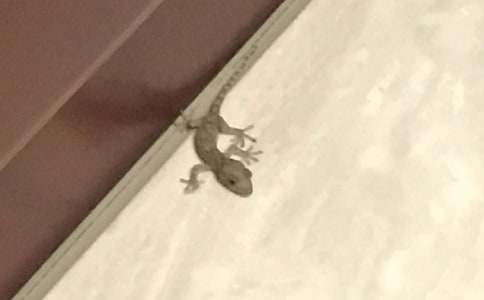 С�ڻ���β�ͽ�ѧ��˼