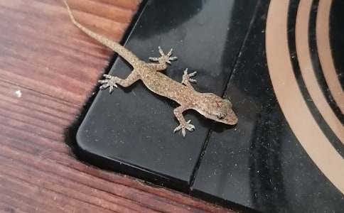 С�ڻ���β�ͽ̰�