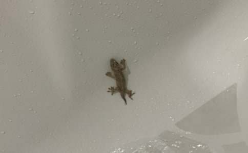 С�ڻ���β�ͽ̰�(��ѡ15ƪ)