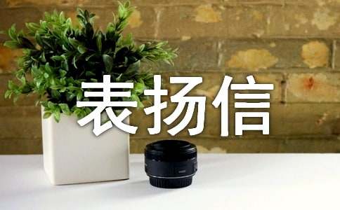 实用的表扬导游的表扬信3篇