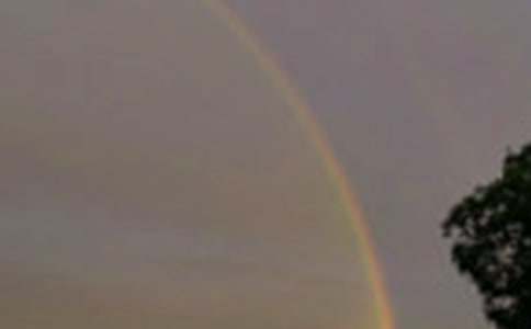 彩虹色的花教案