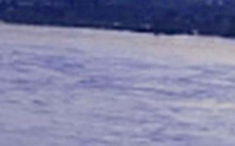 ������֮�衷����̰�