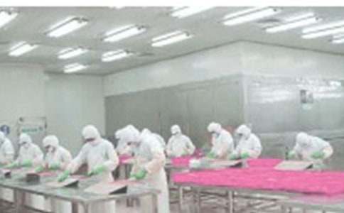 动力车间工作总结