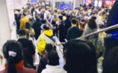 ����Сѧ����