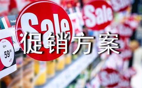 ˫11���������