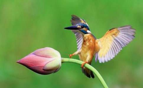 ���ڴ���̰����8ƪ