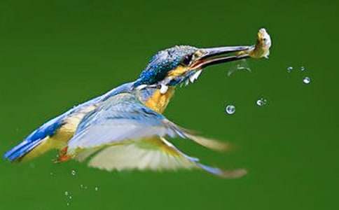 �����ѧ��˼