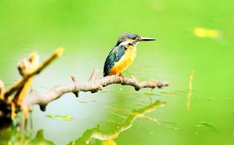 ���ڴ���̰�����8ƪ