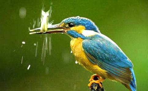 ���ڴ���̰�����6ƪ