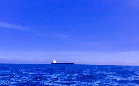 �󺣳�������