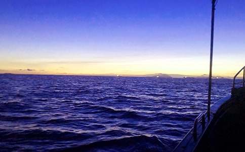 ��Сѧ���ġ����š�