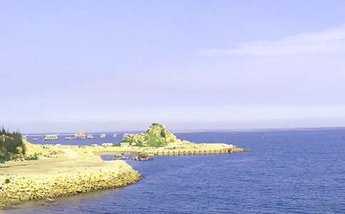 ��Сѧ���ĺϼ�15ƪ