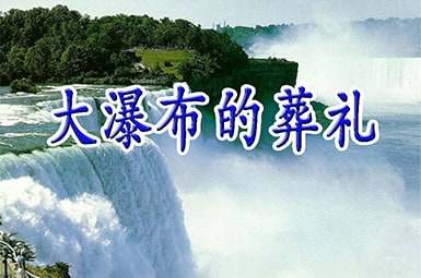 ���ٲ�������