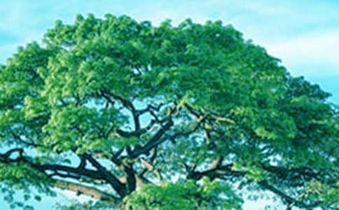 С��������ĶԻ���ѧ��˼