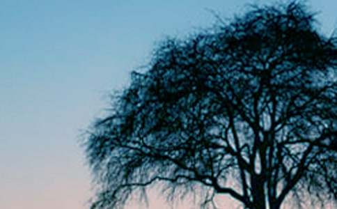 《小草和大树》读后感14篇