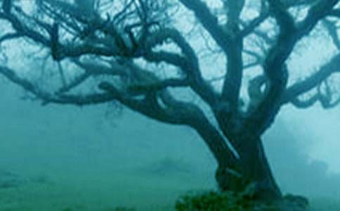 С��������ĶԻ��̰�