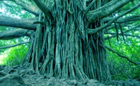 ��С��������ĶԻ����̰�