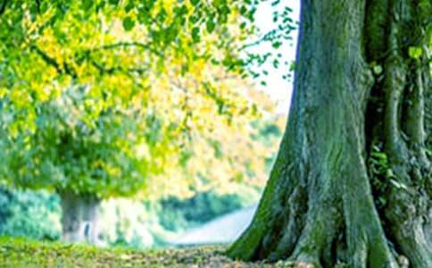 ��������̰�