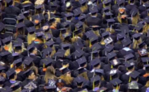 ��ѧ��ʵϰ������15ƪ