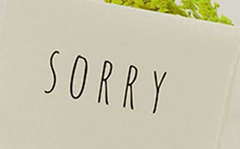 关于同学道歉信