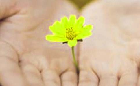 ���ڸ����ѵĵ�Ǹ����ƪ