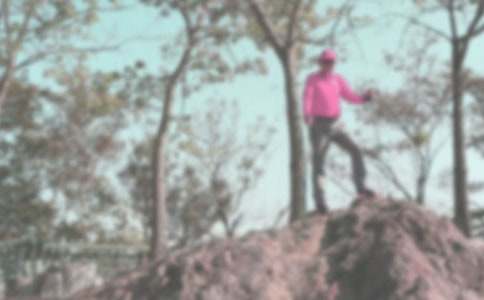 【精选】登山小学作文300字三篇