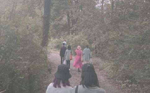 关于登山小学作文锦集五篇