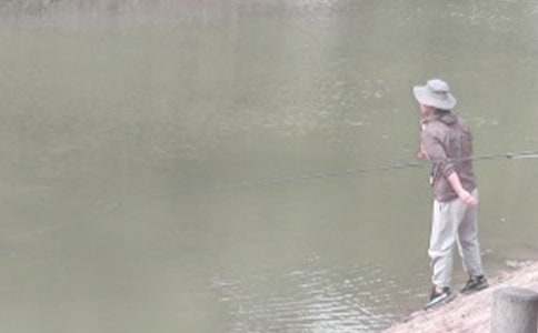 ����Сѧ���ġ�����