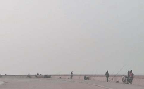 钓鱼小学作文15篇