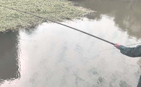 �������ʾ����з���