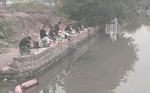 ��Сè���㡷�̰����