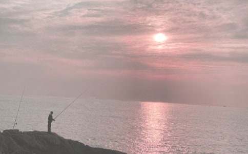 Сè����̰��а�