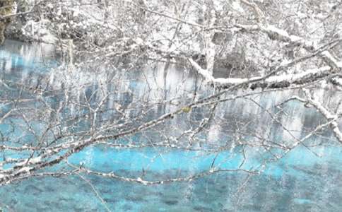 冬季安全教案15篇