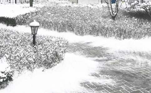 �����ҵ���������