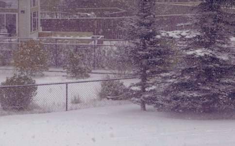 冬日日记模板汇总4篇