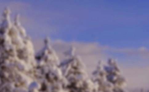 ������ϵĶ�������˵�θ�