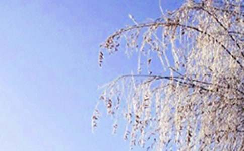 С����ڶ���Ľ̰�