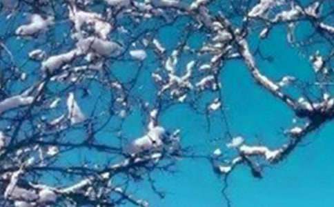 ���ϵĶ������У�ͨ��20ƪ��