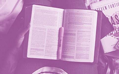 小意达的花儿读后感想通用