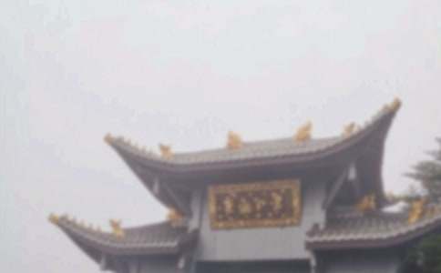 ��üɽ�¸�̰�