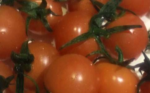 ������̫�����̰�