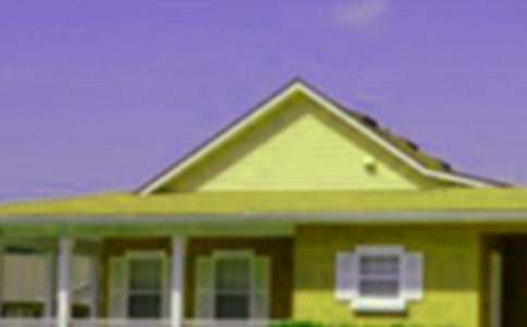 ���̰�����Ư���ķ��ӡ�