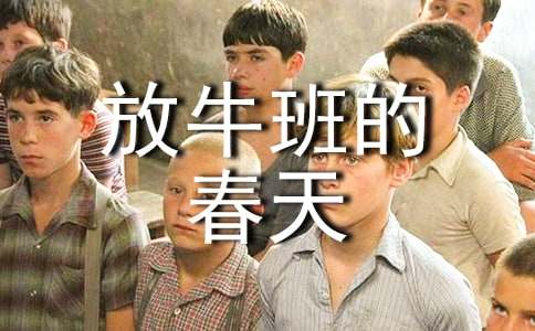 ��ţ��Ĵ���ۺ�С�����