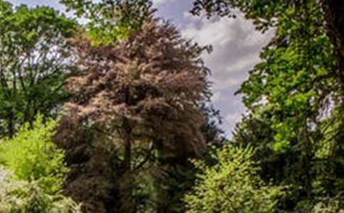 �羰��������(15ƪ)