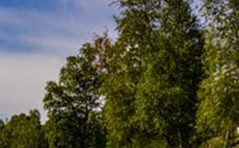 �����š����з羰���ĺϼ���ƪ