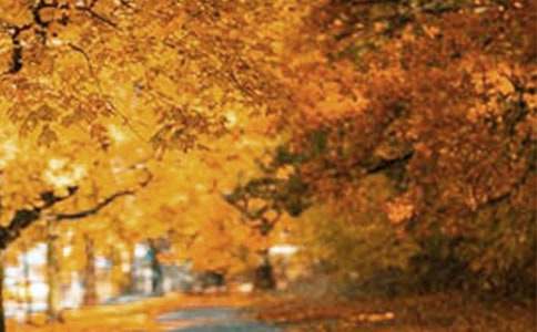 ��ʵ�á����з羰���Ļ���ʮƪ