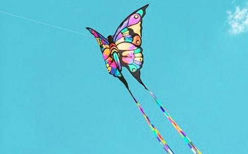 �����ݡ�˵�θ�