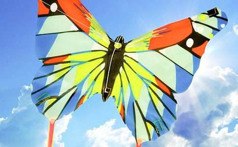 �Է���Ϊ�����������